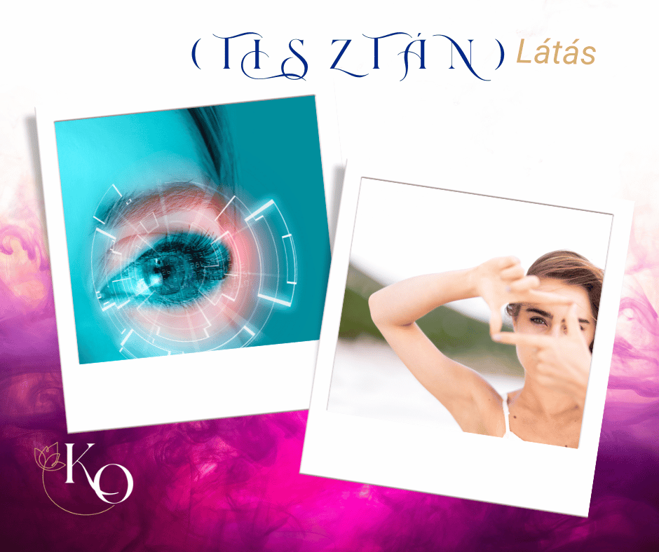 Access testkezelés tanfolyamok 2 latas helyreallitas
